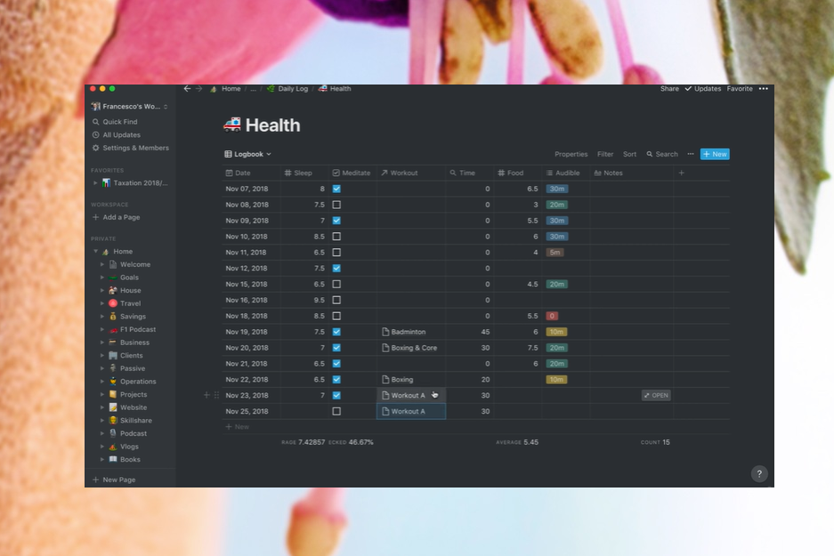 notion relational database