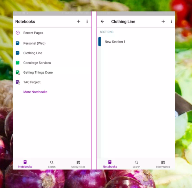 notion app onenote